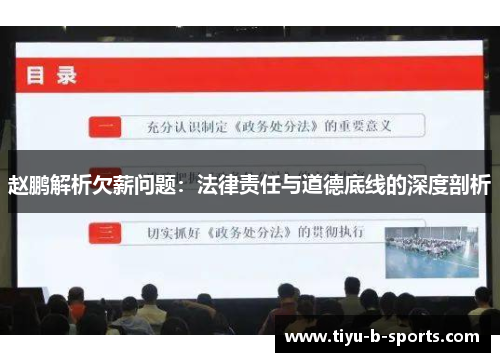 赵鹏解析欠薪问题：法律责任与道德底线的深度剖析