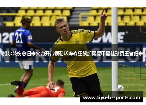 维尔茨伤愈归来火力开带领勒沃库森狂飙加冕德甲最佳球员王者归来 维尔茨伤愈归来火力开带领勒沃库森狂飙加冕德甲最佳球员王者归来